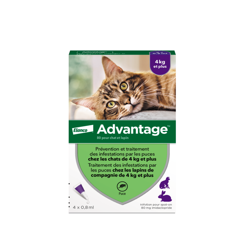 Advantage 80 Solution Antipuce Chat Lapin +4kg 4 pipettes
