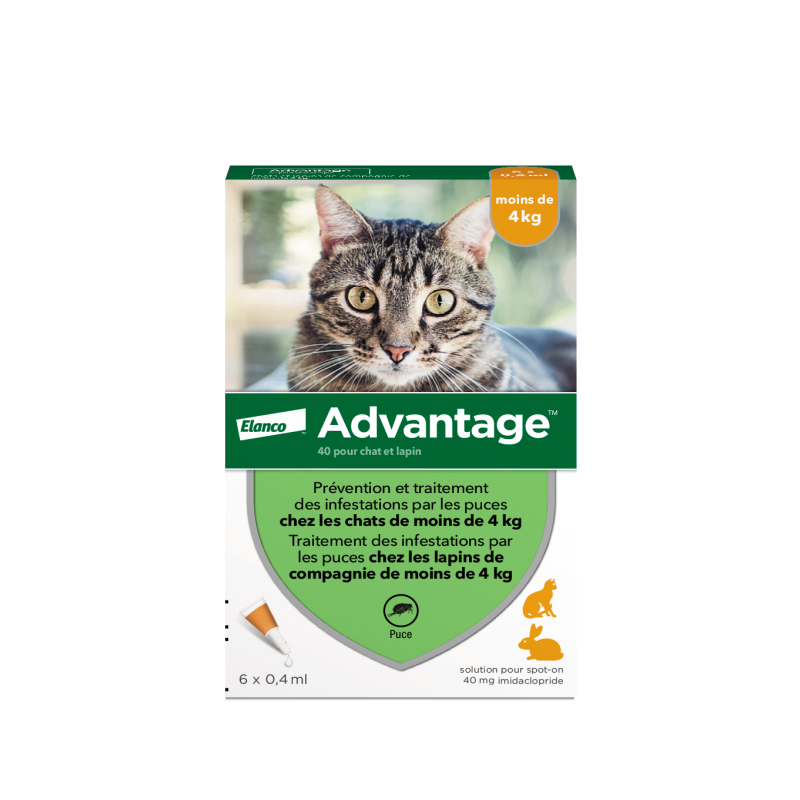 Advantage Solution Antipuce Chat Lapin 1 à 4kg 6 pipettes