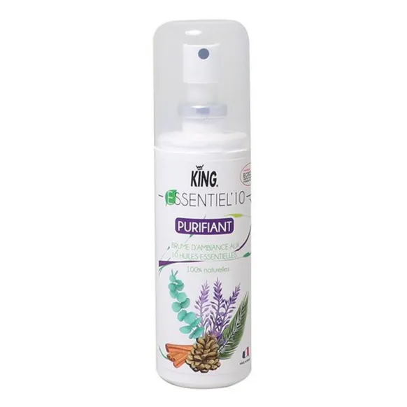 BRUME AUX HUILES ESSENTIELLES NATURELLE PURIFIANT - ECOCERT