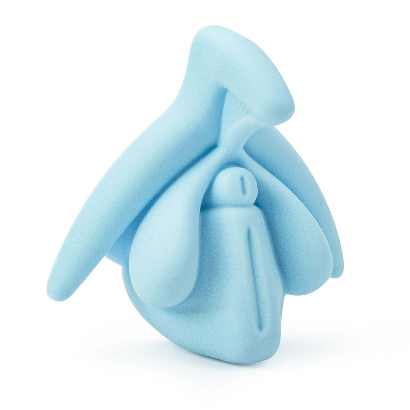 Modèle éducatif anatomie du clitoris en 3D