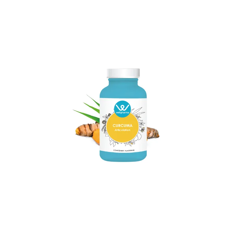 Complément alimentaire Curcuma Wellpharma - 90 gélules
