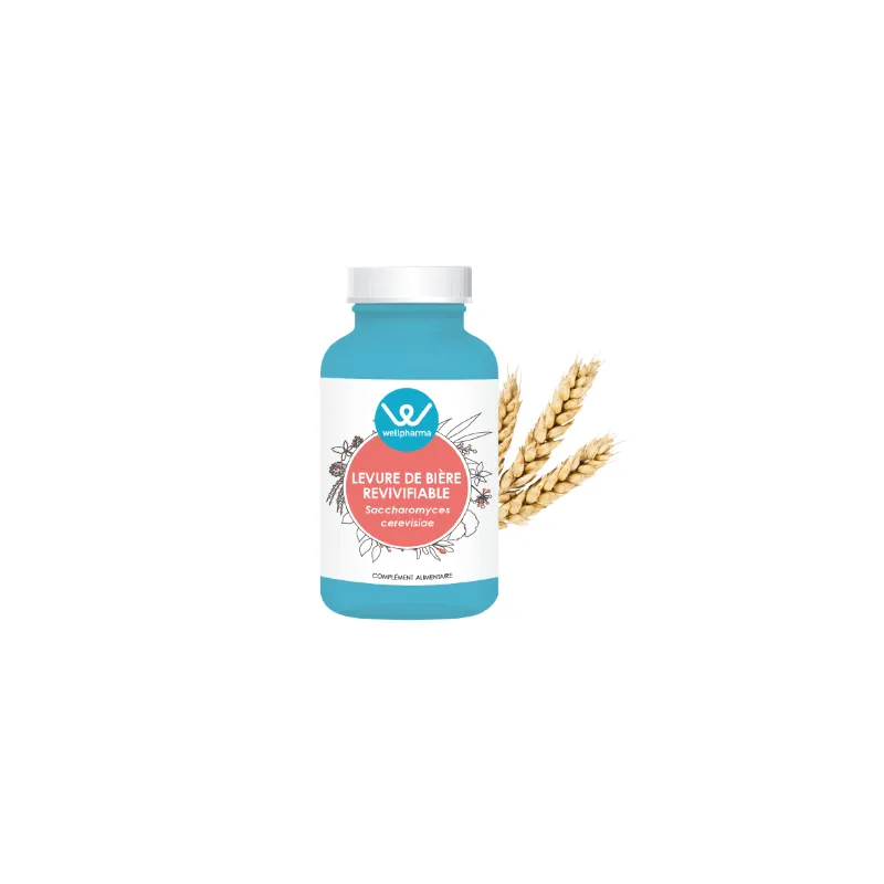 Complément alimentaire Levure de bière revivifiable Wellpharma - 90 gélules