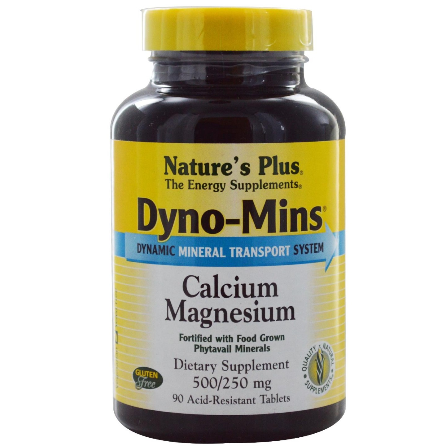 Dyno Mins CA/MG 500/250 90 comp Nature's plus