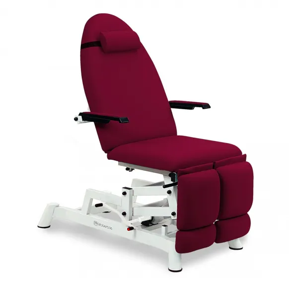FAUTEUIL HYDRAUYLIQUE PODOLOGIE ACCOUDOIRS ESCAMOTABLES