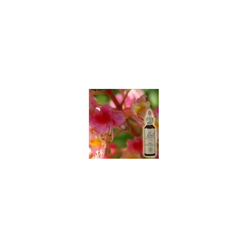 FLEUR DE BACH 25 MARRONIER ROUGE