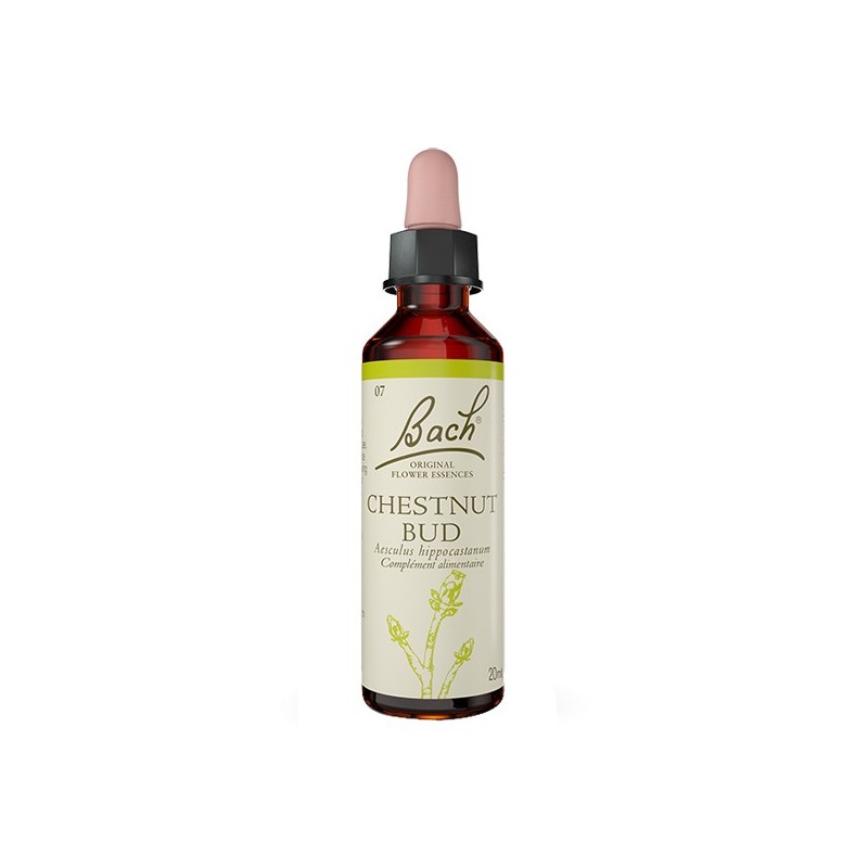 Pharmacie Bastille - Fleurs de Bach Chestnut Bud n°7 - 20ml