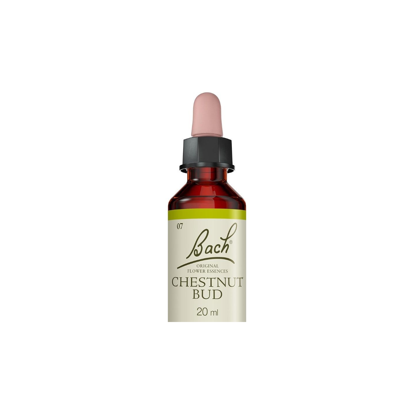 Fleurs de Bach Original Chestnut Bud N°7 - 20ml
