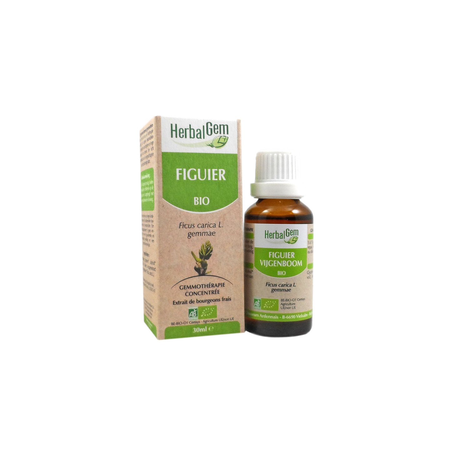 HerbalGem Bio Figuier 30 ml