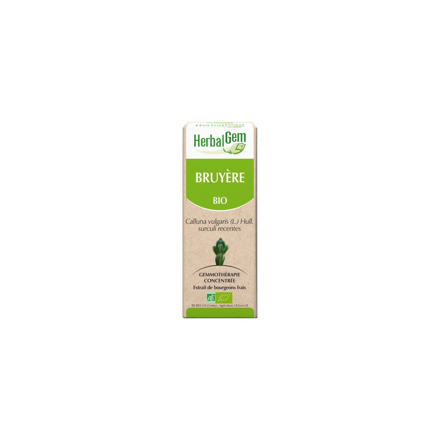 Herbalgem Bruyère Bio - 30ml