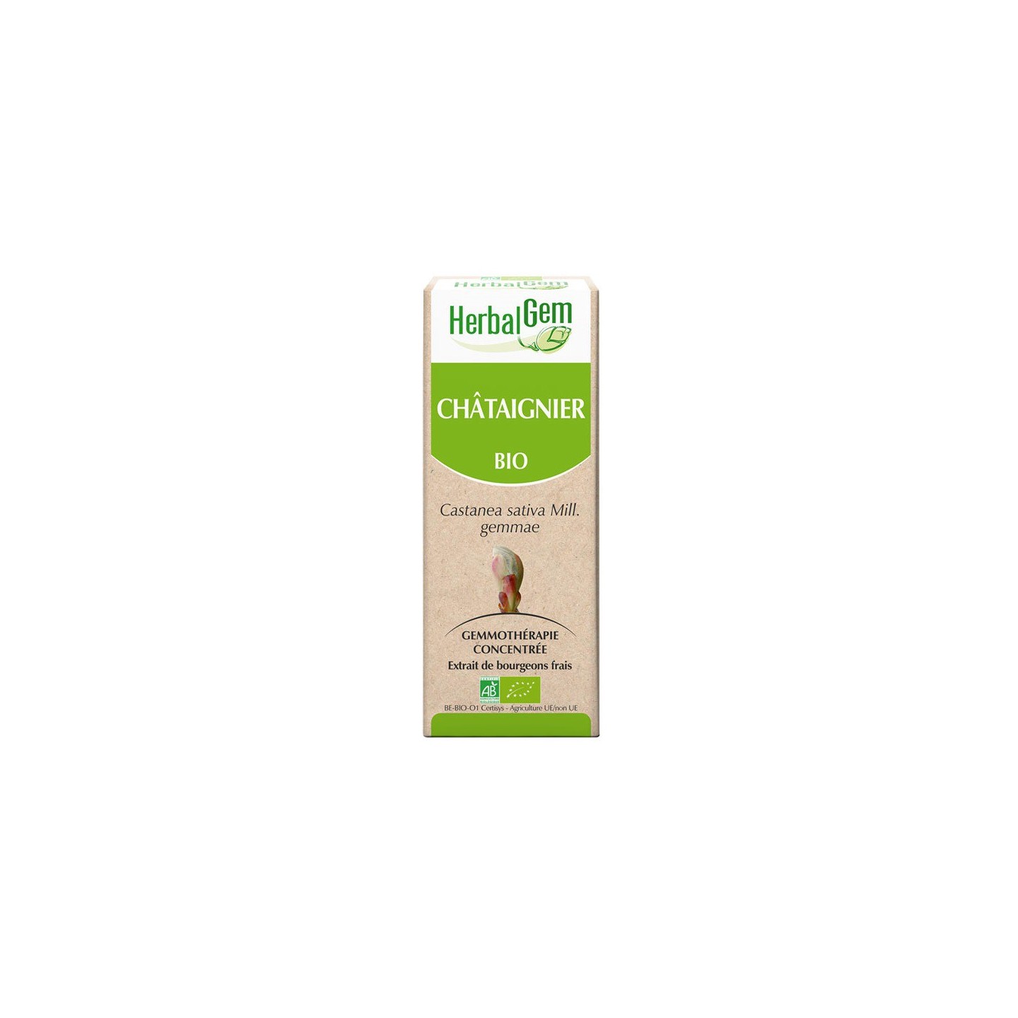 HerbalGem châtaignier bio - 30ml