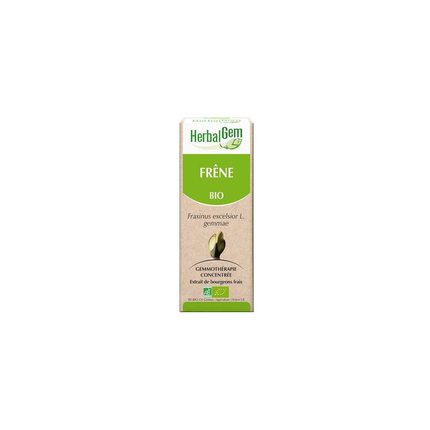 HerbalGem frêne bio - 30ml
