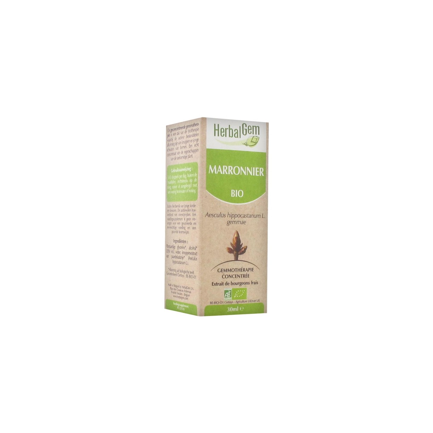 HerbalGem Macerat mère de Marronier bio - 30 ml