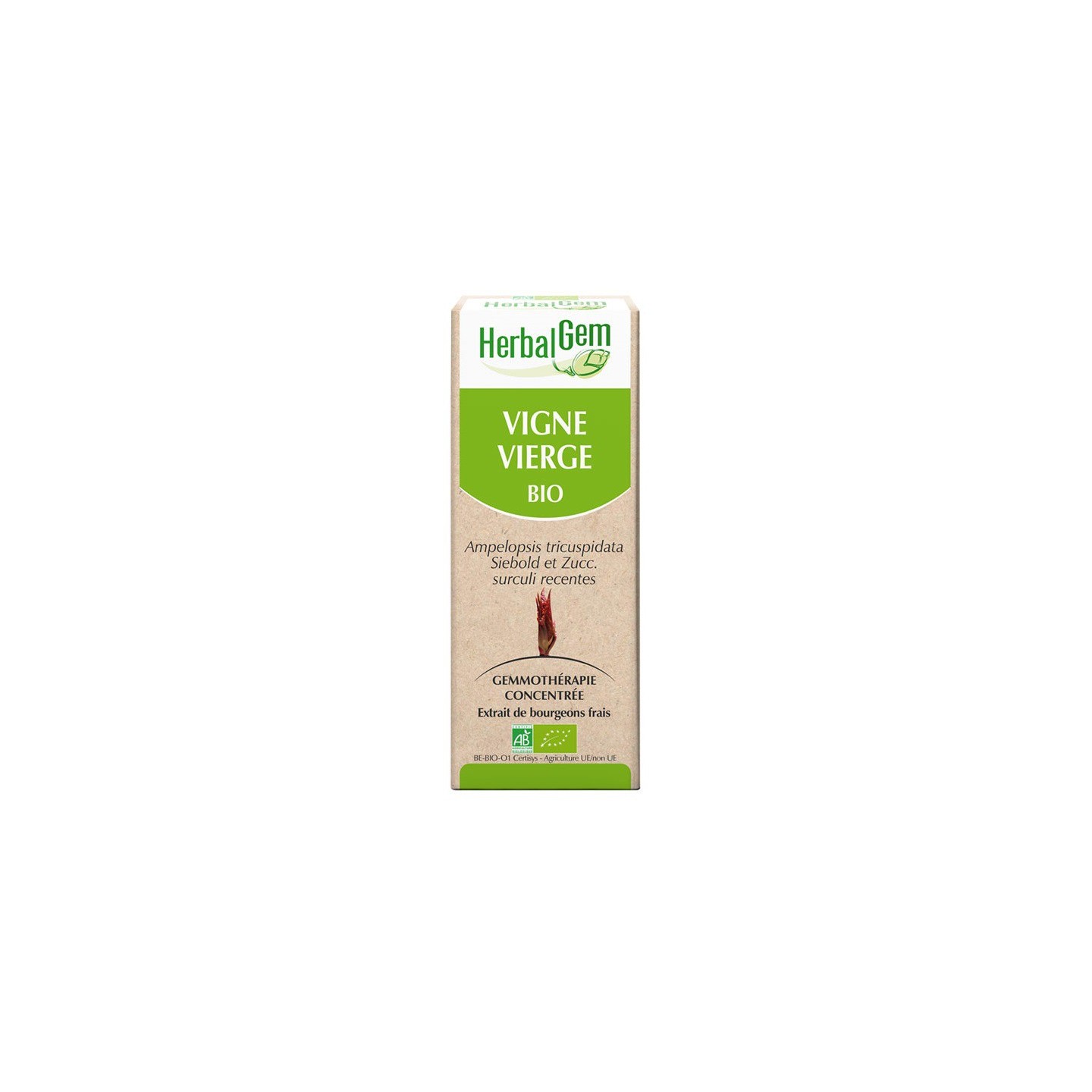 HerbalGem vigne vierge bio - 30ml