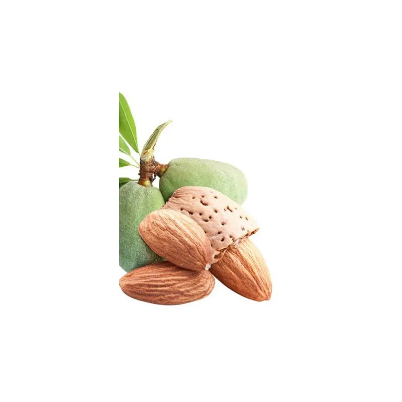 Huile v&eacute;g&eacute;tale Amande douce BIO 50 ml - Wellpharma