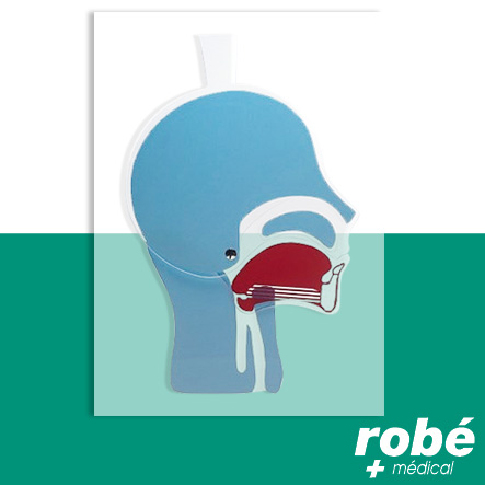 Modèle de tête articulée Ambu pour formations de secourisme