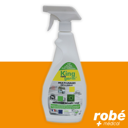 Spray détergent multi-usages sans Cov, avec acide lactique - Ecoresponsable - Flash' Germ 750ml