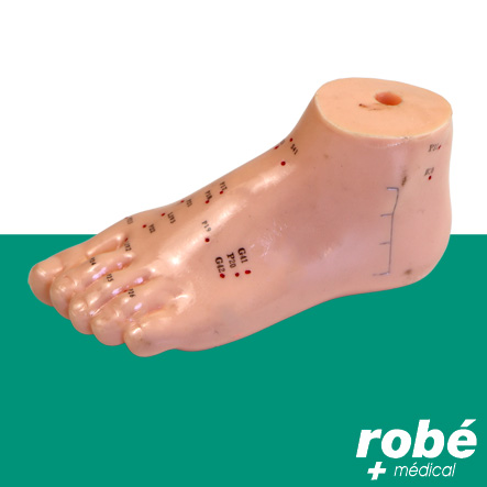 Modèle pied avec points acupuncture - 13cm