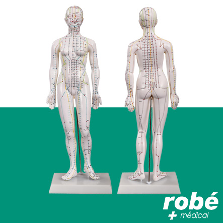 Modèle d'acupuncture corps féminin - 48 cm