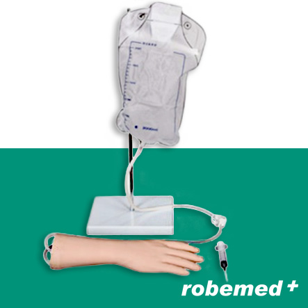 Modèle de main pour injection intraveineuse - 34cm