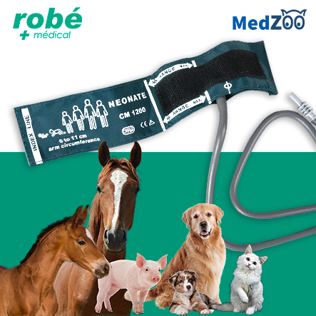 Brassard Medzoo pour tensiomètre électronique vétérinaire