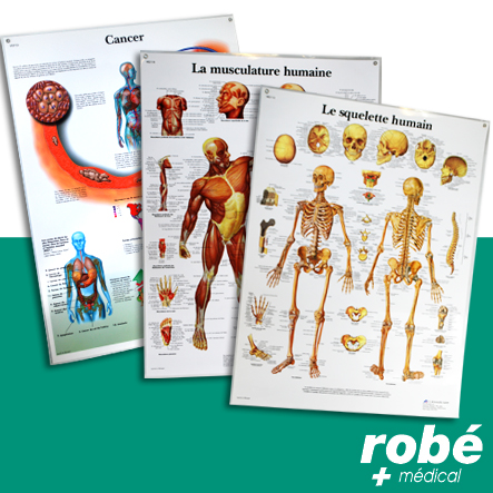 Planches de formation plastifiées