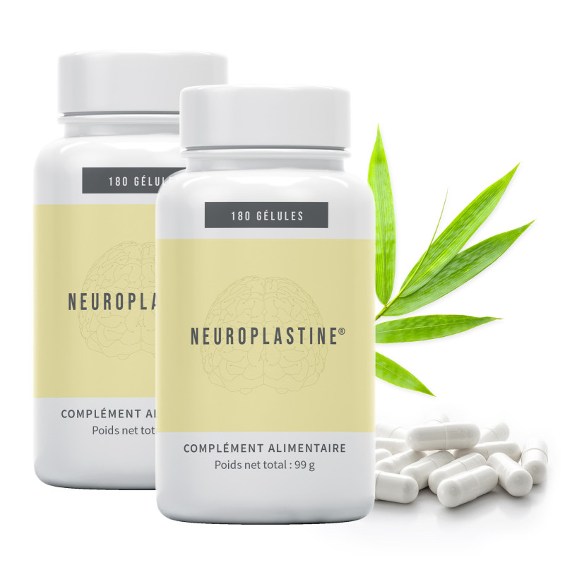 Lot de 2 Neuroplastine