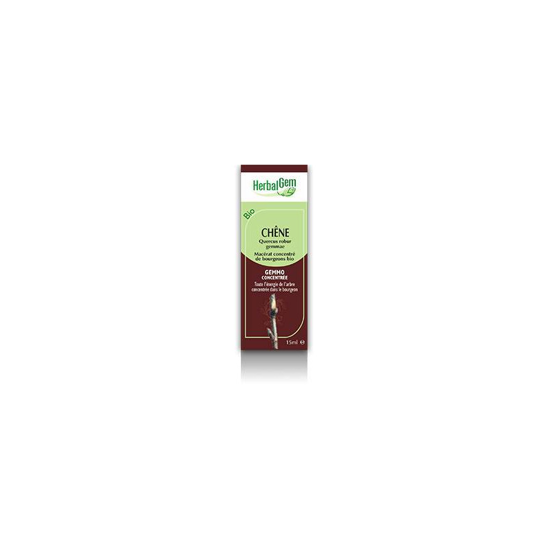 MACERAT CHENE BIO HERBALGEM