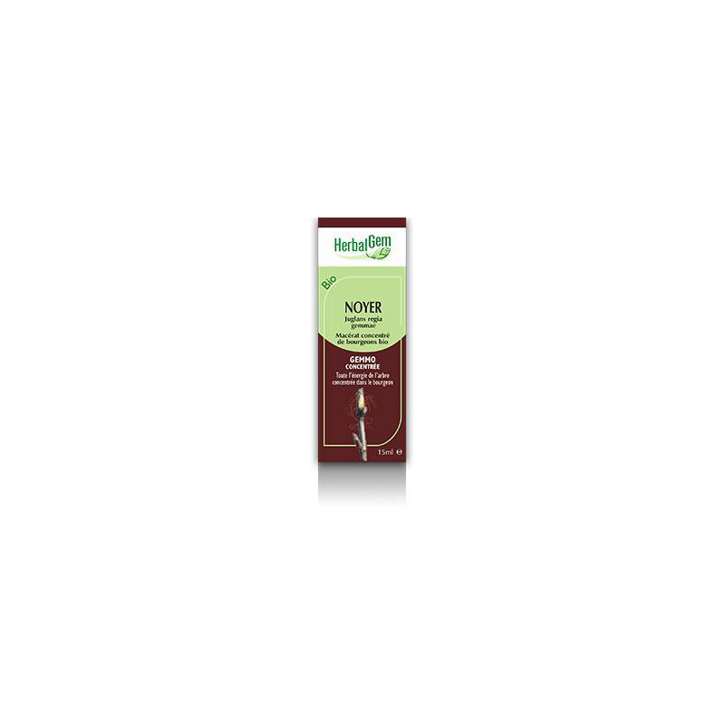 MACERAT NOYER BIO HERBALGEM
