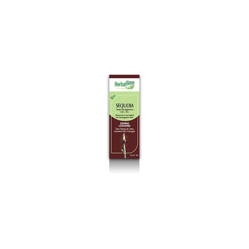 MACERAT SEQUOIA BIO HERBALGEM