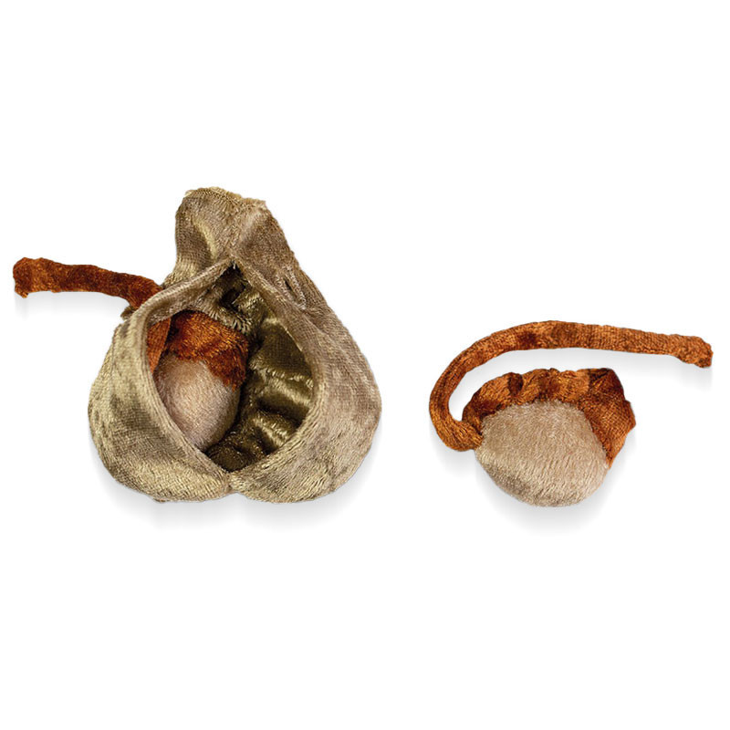Modèle anatomique scrotum + testicules en peluche