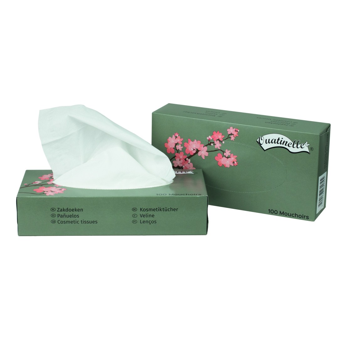 Mouchoir Ouatinelle Boîte de 100