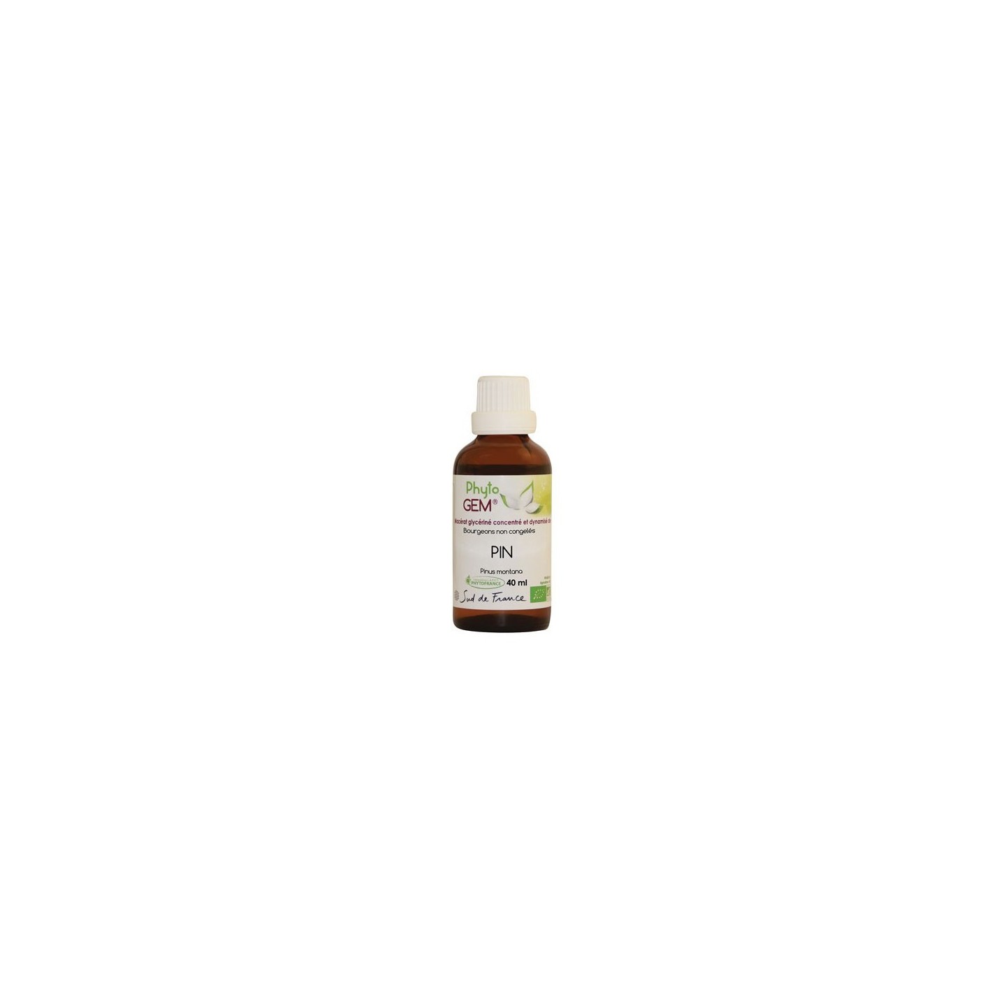 Phyto'gem Bourgeons de Pin des montagnes Bio - 40ml