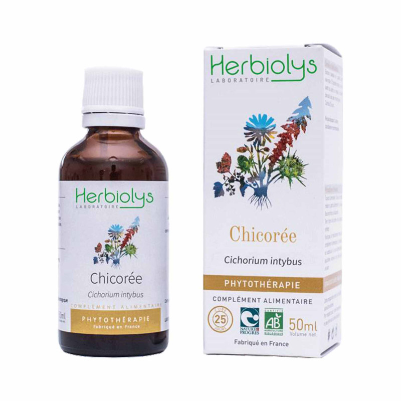 Phytothérapie extrait de Chicorée Bio