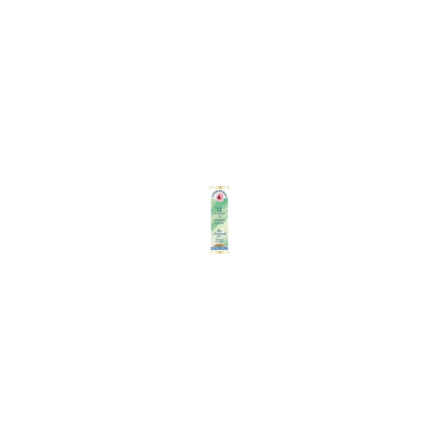 Pin sylvestre / Pine n°24 compte goutte 20ml