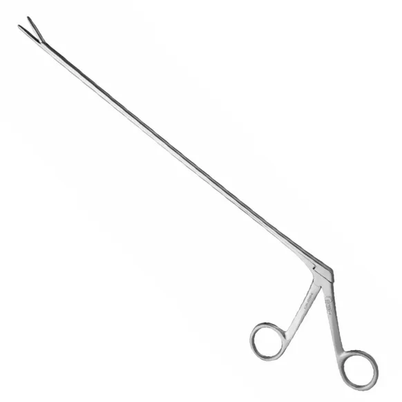 PINCE DE CICERON
