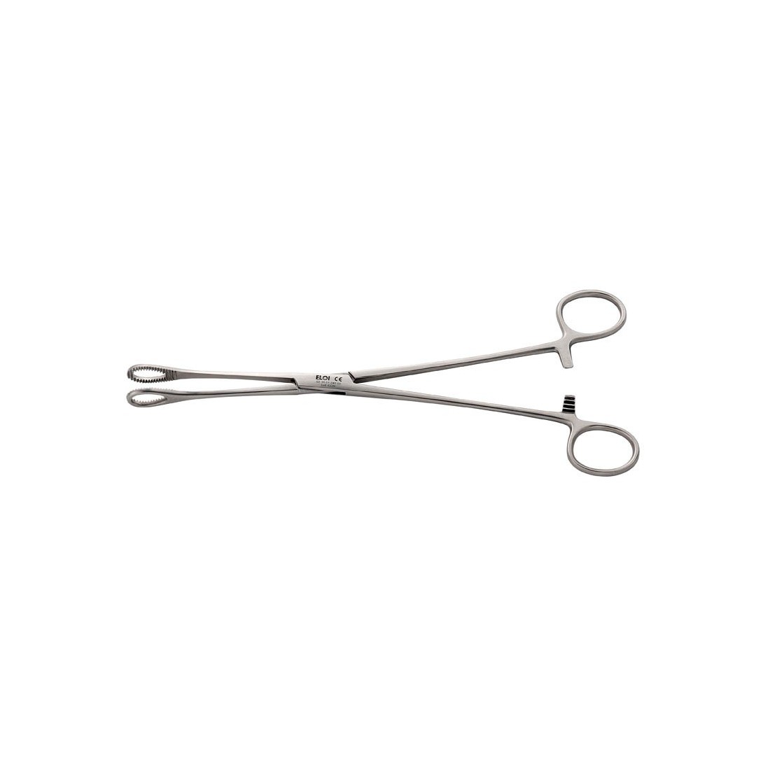 Pince de Foerster Droite 24 cm