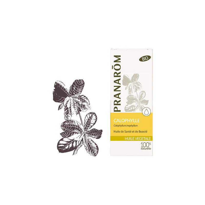 HUILE VEGETALE BIO CALOPHYLLE