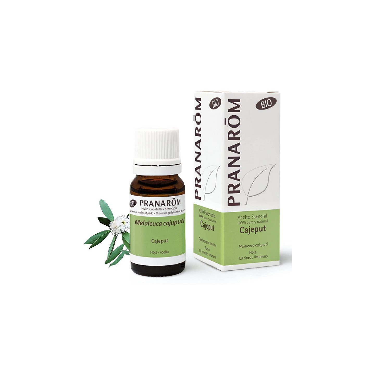 Pranarôm Huile essentielle Cajeput Bio - 10ml