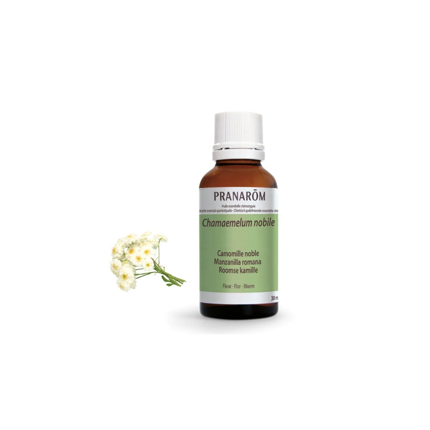 Pranarôm Huile essentielle Camomille noble Bio - 30ml