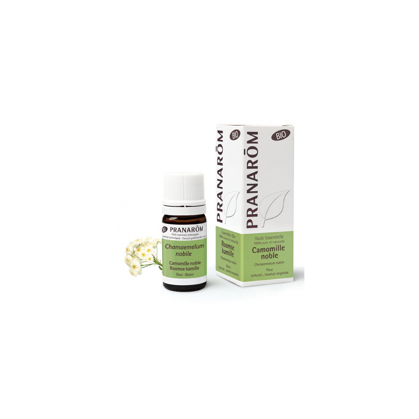 Pranarôm Huile essentielle Camomille noble Bio - 5ml