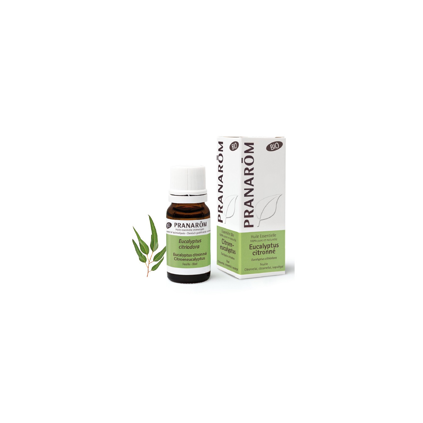 Pranarôm Huile essentielle Eucalyptus citronné Bio - 10ml