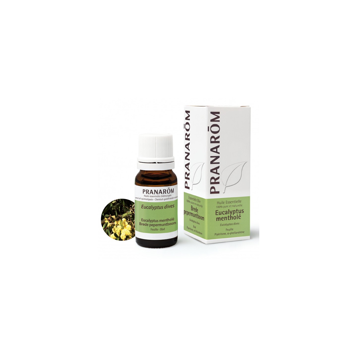 Pranarôm Huile essentielle Eucalyptus mentholé - 10ml