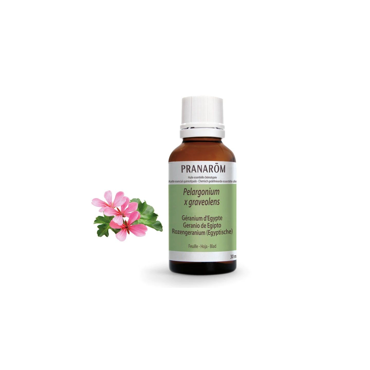Pranarôm Huile essentielle Géranium d'Egypte - 30ml