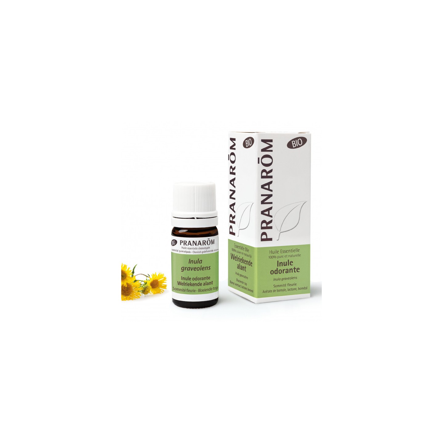 Pranarôm Huile essentielle Inule odorante - 5ml