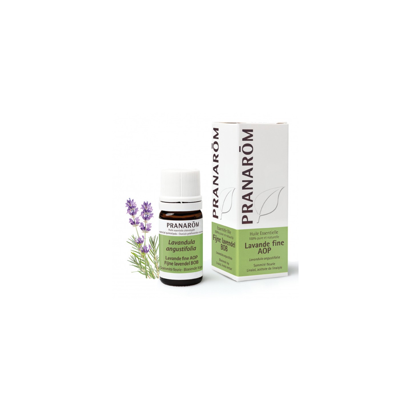 Pranarôm Huile essentielle Lavande fine AOP - 5ml