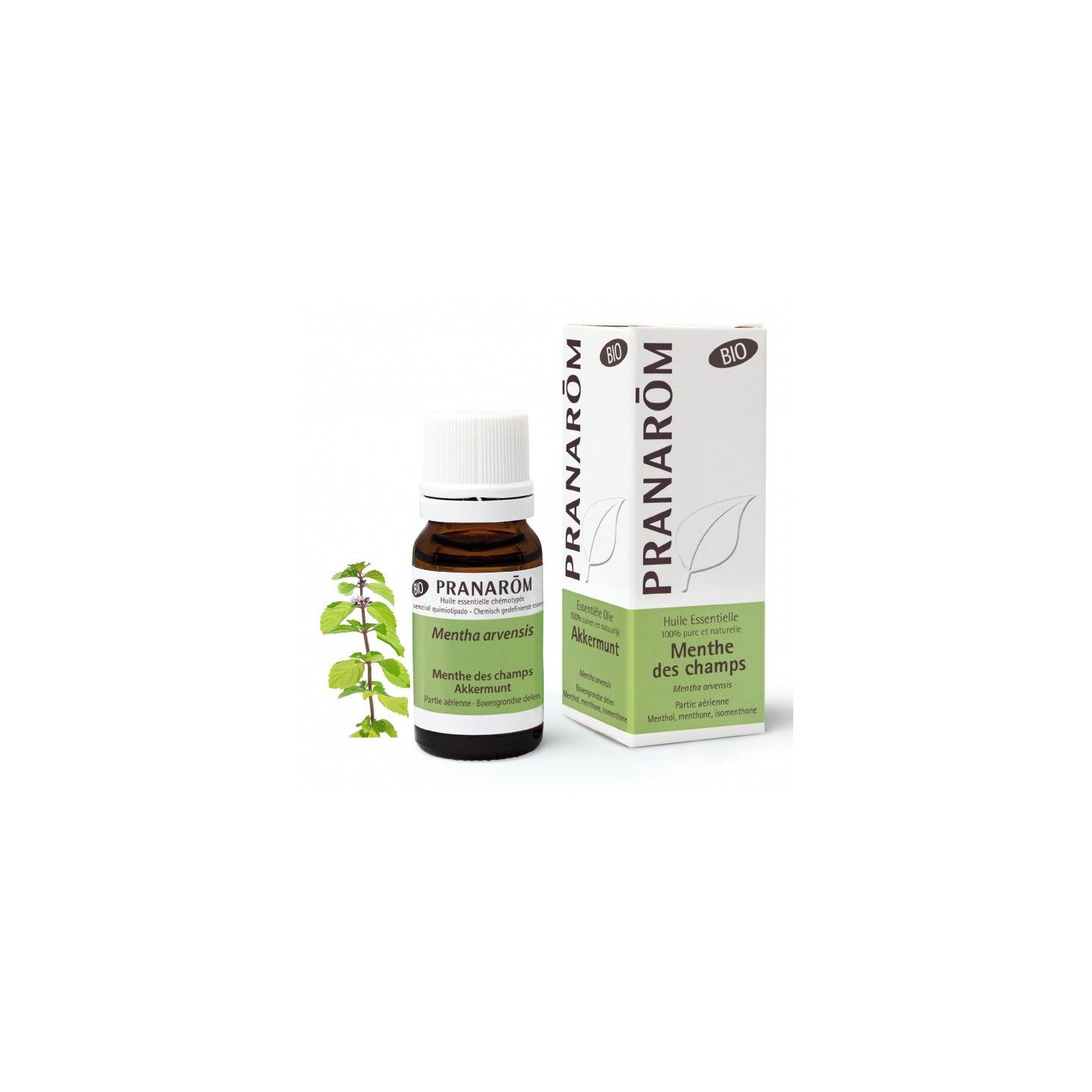 Pranarôm Huile essentielle Menthe des champs Bio - 10ml