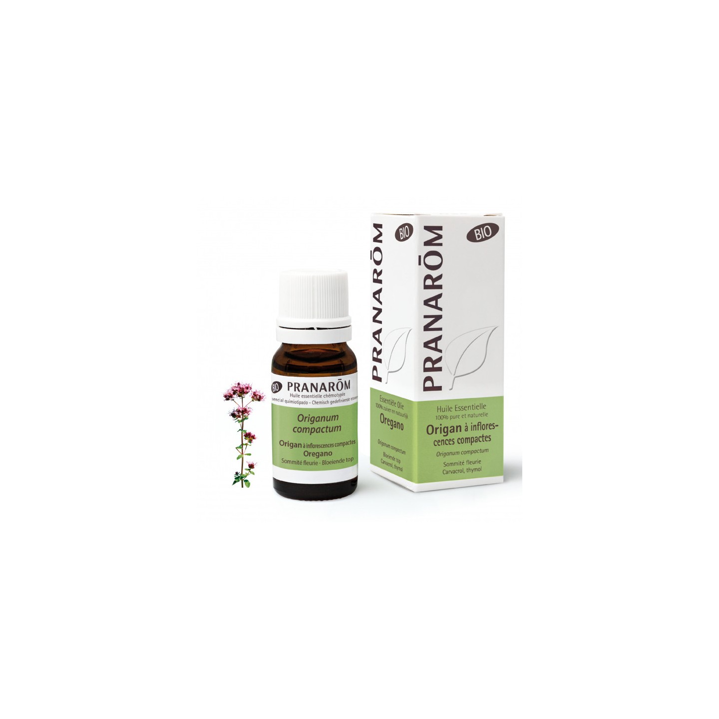 Pranarôm Huile essentielle Origan à inflorescences compactes Bio - 10ml