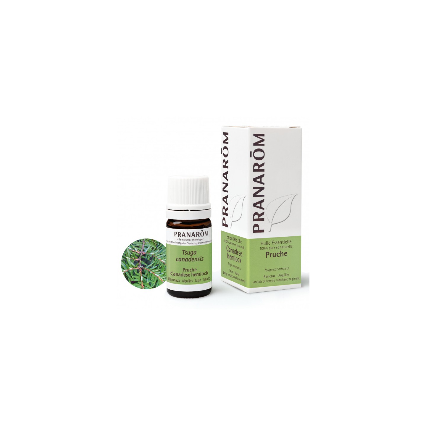 Pranarôm Huile essentielle Pruche - 5ml