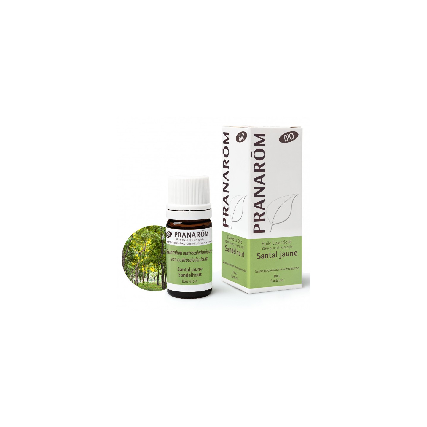 Pranarôm Huile essentielle Santal jaune Bio - 5ml