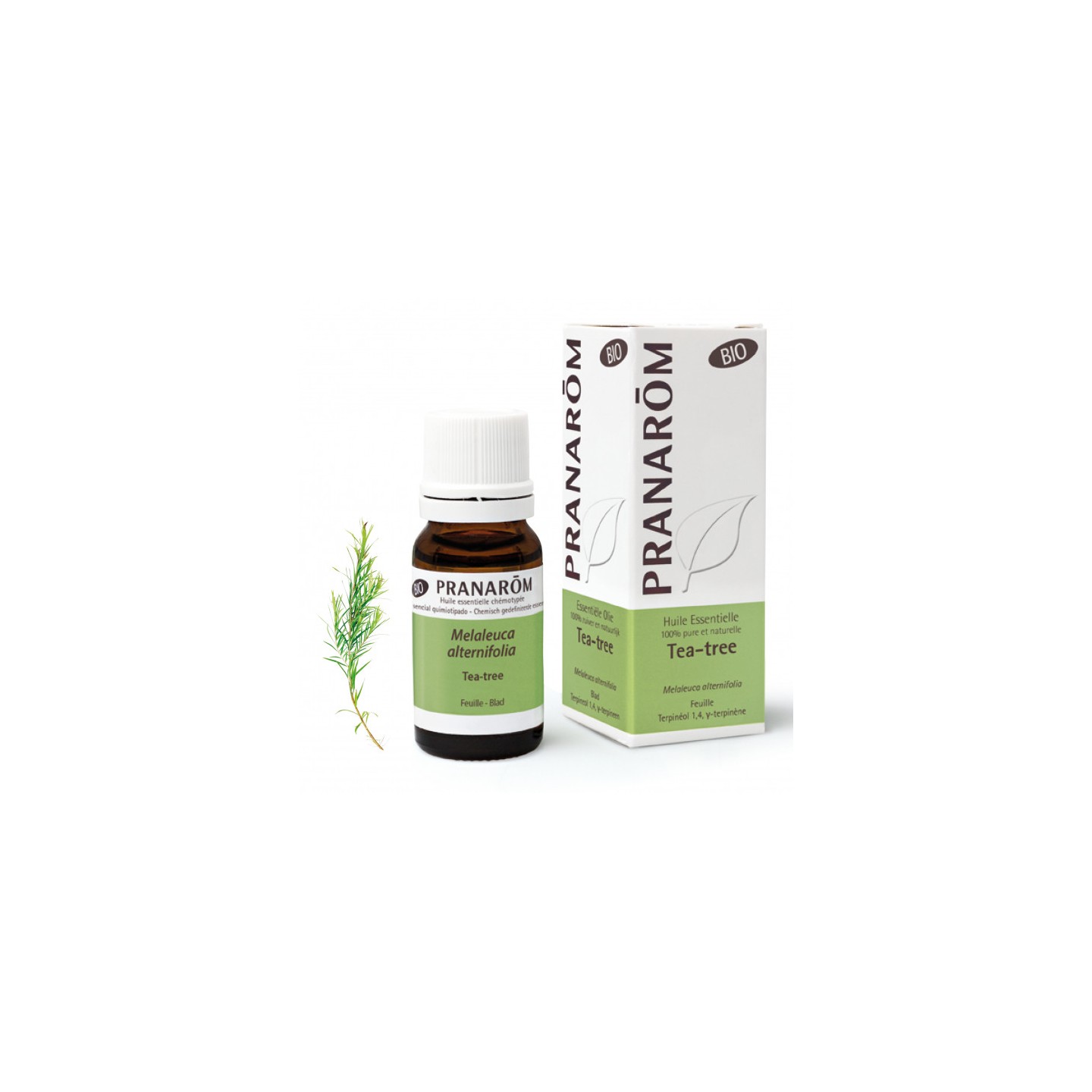 Pranarôm Huile essentielle Tea-tree Bio - 10ml